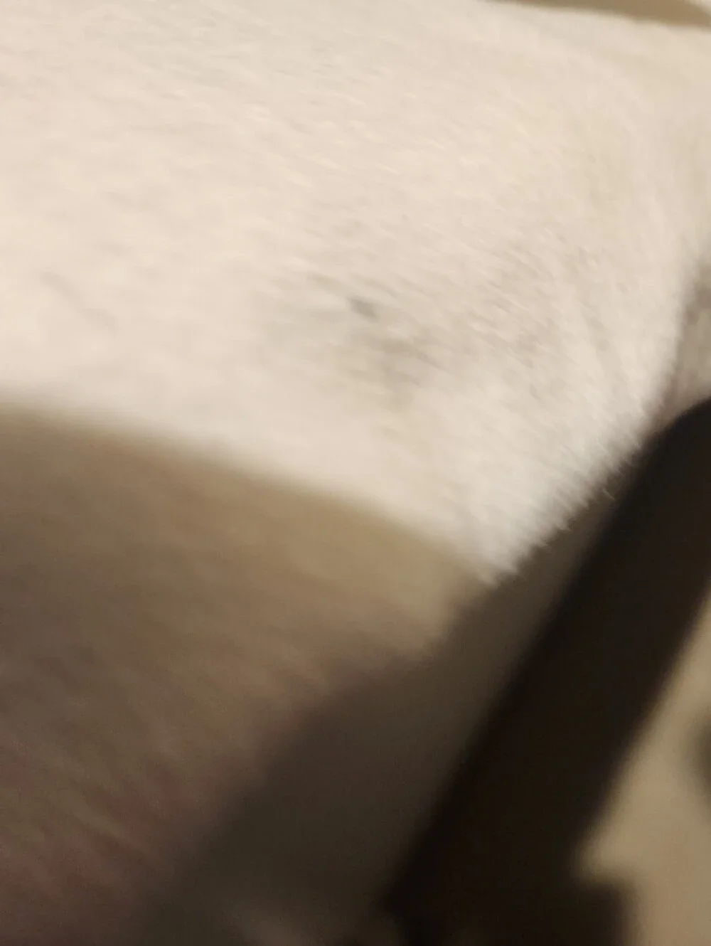 Starbucks bold pop
